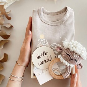 Resim Amigurumi Curly Sheep Box - Çıngırak 