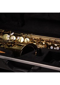 Resim Fox Yas-7108L Alto Saksafon 