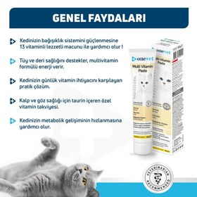 Resim OneVet Multi Vitamin Paste Bağışıklık Destekleyici Kedi Maltı 50 Gr 