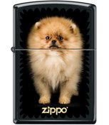 Resim Zippo Puppy Çakmak Zippo