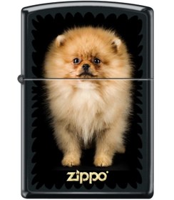 Resim Zippo Puppy Çakmak 