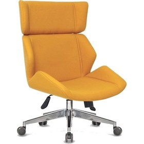 Resim Koltukstilim Rio Yönetici Koltuğu Diğer 