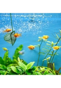 Resim Akvaryum Balık Kepçesi 7.5 Cm. 