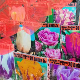 Resim La Tulipe 30ML El Kremi 