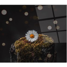 Resim Olinpa Cam Ocak Arkası Koruyucu | Papatya Model 