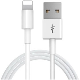 Resim Şarj Aleti Kablosu 1M Lightning USB 