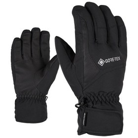 Resim ZIENER GARWEN GTX GLOVE SKI ALPINE KAYAK ELDİVENİ Siyah 