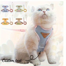 Resim Büyütülmüş Evcil Hayvan Yelek Tasması - 5 Fit Kayış Benzeri Kayış - Sağlam ve Yelek Tasması Küçük/Orta Boy Köpekler ve Kediler İçin, 4 Renk Seçeneği (Mavi, Kahverengi, Yeşil, Siyah) - Dış Mekan Kullanımı, İsim/Metin, Tasarım ve Toka Sistemi - Pomeranian, Chihuahua, Shih Tzu, İngiliz Kısa Tüylü 