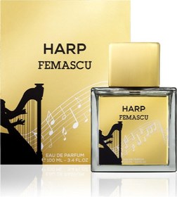 Resim Femascu 6517 Harp Erkek Parfüm EDP 100 ML 