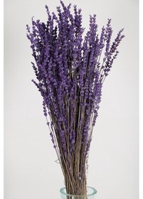Resim Şoklanmış Dökülmeye Dayanıklı Gerçek Lavanta Demeti Mor 100 Gr 6867seri 