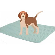 Resim Caretex Abso Eco Design Sıvı Geçirmez Köpek Çiş Pedi 75 x 85 CM 
