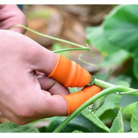 Resim KTT Pratik Baş Parmak Sebze Kesme Ayıklayıcı Erkek L Set Şık Tasarımlı Fonksiyonel Ürün 