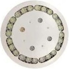 Resim Animasyonlu Kuyumcu Aydınlatma Led Armatür Yuvarlak Beyaz 6000-6500k Beyaz 