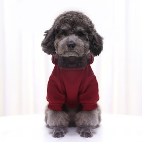 Resim Köpeğinizi bu kış sıcak ve rahat tutun, yumuşak ve kalın evcil köpek kazaklarımızla! Noel hediyesi 