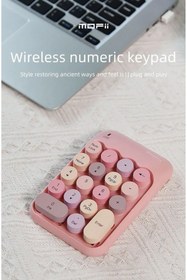 Resim RabbitTech Renkli Daktilo Tarzı Vintage Kablosuz Wıreless Numeric Keypad 18 Tuşlu Sayısal Klavye Numpad 