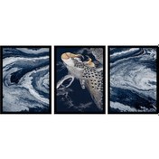 Resim Mavi Soyut Ve Tavus Kuşu Üçlü Çerçeveli Mdf Tablo Seti-172255 