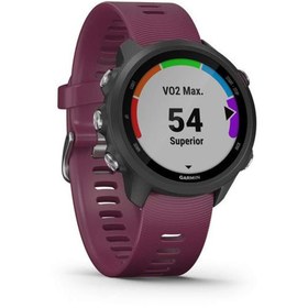 Resim Garmin Forerunner 245, Gelişmiş Dinamiklere Sahip GPS Koşu Akıllı Saati, Berry 