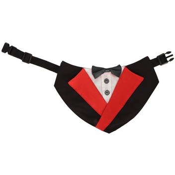 Köpek Smokin Yongtao M