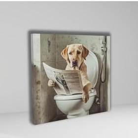 Resim GAAGART Tekli Kare Kanvas Banyo Tablosu Gazete Okuyan Kahverengi Labrador Köpek 50 x 50 gartNM8383 