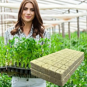 Resim 50 adet Topraksız Kültür Substratı Bitki Çoğaltma Fide Bloğu Bitki Kaya Yünü Substratı Hidroponik Fide Bloğu, 25*25*25mm 