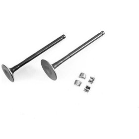 Resim Deltaforce Honda Fızzy Emme-egzoz Supabı Takım Dq Y4dlt5001a0086 