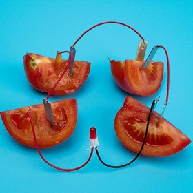 Resim DIY Meyve Pil Bilimi Kiti - El Yapımı DIY Güç Deneyi, İlk ve Ortaokul Öğrencileri İçin Uygun, 4 Portakal, Kırmızı ve Siyah Halat, Metal Klips ve Sayılmış Noktalar İçerir, Eğitici Bilim Oyuncak | Dayanıklı Yapı 