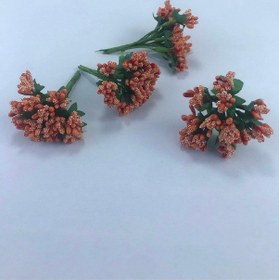 Resim FdayAksesuar Turuncu Renk Tohum Pıtırcık FRDY15427 