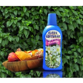 Resim Çiçek Coşturan Çiçekli Çiçeksiz Tüm Süs Bitkileri İçin 