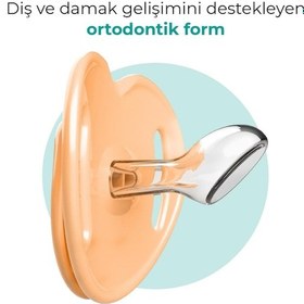 Resim Mamajoo Ortodontik Emzik Seti 12 Ay+ Powder Blush | İkili, Silikon, Damaklı | Sterilizasyon & Saklama Kabı 