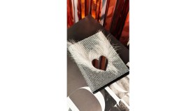 Resim Oasis Life Taşlı Ruhsat Kılıfı Kalp Ayna ve Tüy Koleksiyon 