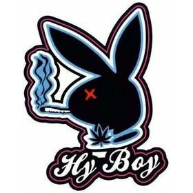 Resim 70 X 90 Mm Sticker 10'lu Çok Renkli 