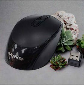 Resim RAYNOX RX-M201 MOUSE 