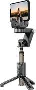 Resim Gimbal Sabitleyici Wi-SE006 Çok Fonksiyonlu Işıklı Tripod Selfie Çubuğu Max 770 mm Wiwu