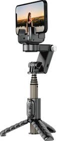 Resim Gimbal Sabitleyici Wi-SE006 Çok Fonksiyonlu Işıklı Tripod Selfie Çubuğu Max 770 mm Wiwu