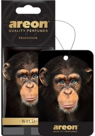 Resim Areon Wild Professor Oto Araç Kokusu 