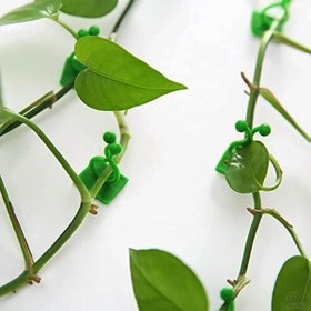 Resim 10/30/50 adet Beyaz Kendinden Yapışkanlı Bitki Tırmanma Duvar Askıları - Bahçe, Rattan ve Lattice Desteği için Dayanıklı Plastik Asma Çit Tutucuları, Kolay Kurulum İç/Dış Mekan Kullanımı 