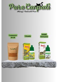 Resim Purecanpati Gammarus Ve Kaplumbağa Bakım Seti 