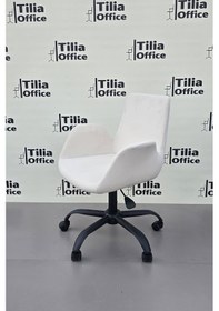 Resim Maki Çalışma Ve Çocuk Koltuğu Siyah Yonca Ayak Beyaz 