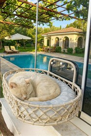 Resim Tasaryum Kedi ve Köpek El Örgüsü Vantuzlu Cam Yatağı Hamak Krem 