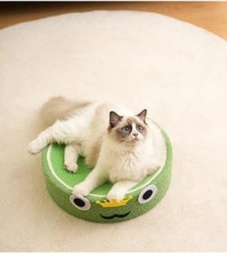 Resim Kuara Kurbağa Kedi Tırmalama Alanı Eğlenceli ve Fonksiyonel Tasarım 