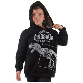 Resim Denokids Mshb&g Dino Research Erkek Çocuk Sweatshirt 