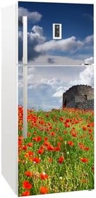 Resim Buzdolabı Kapağı Kaplama Sticker 0029 BUZS000029 