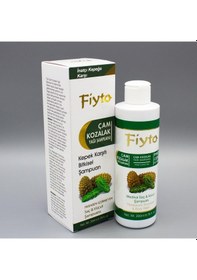 Resim Fiyto Çam Kozalaklı Saç ve Vücut Şampuan 250 ML 
