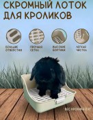 Resim Rabbitsbrand Tavşanlar İçin Tepsi 120205668 