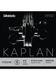 Resim Daddario Kv314 Keman Tek Tel Kaplan Vivo Mi-e , 4/4 