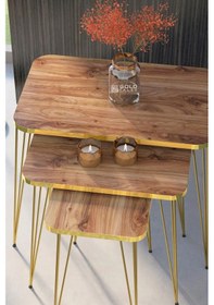 Resim Uslucan Alışveriş Zigon Sehpa Kr Ve Orta Sehpa Kr Set Gold Ceviz Tel 1108 Çok Renkli 