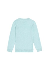 Resim U.S. Polo Assn. Kız Çocuk Su Yeşili Bisiklet Yaka Basic Kazak 50293586-VR253 