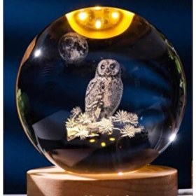 Resim Evimdeyokyok Dekoratif Baykuş Tasarımlı Ahşap Altlıklı Işıklı Cam Küre Büyük Boy 8 CM 