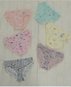 Resim Kota 3402 Kız Çocuk Renkli Desenli Slip Külot 6 Adet 001 