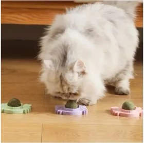 Resim Yengeç Kedi Otu Oyun Topu 